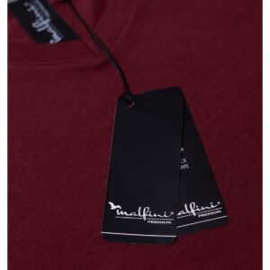 Koszulka męska Action V-neck Malfini 700 - obrazek 4